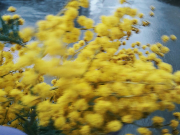 sping