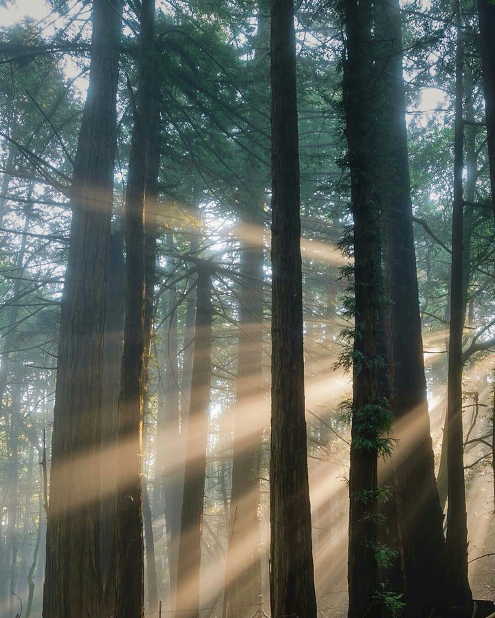awesome sunbeams