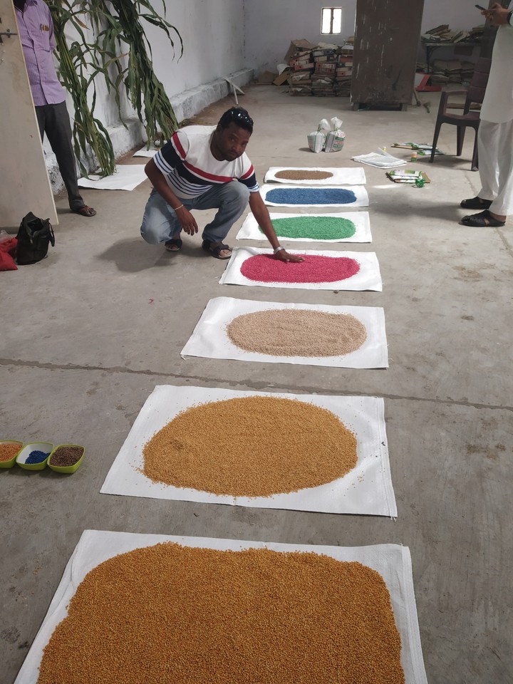 cheking polycote of newly introduce  jowas seed