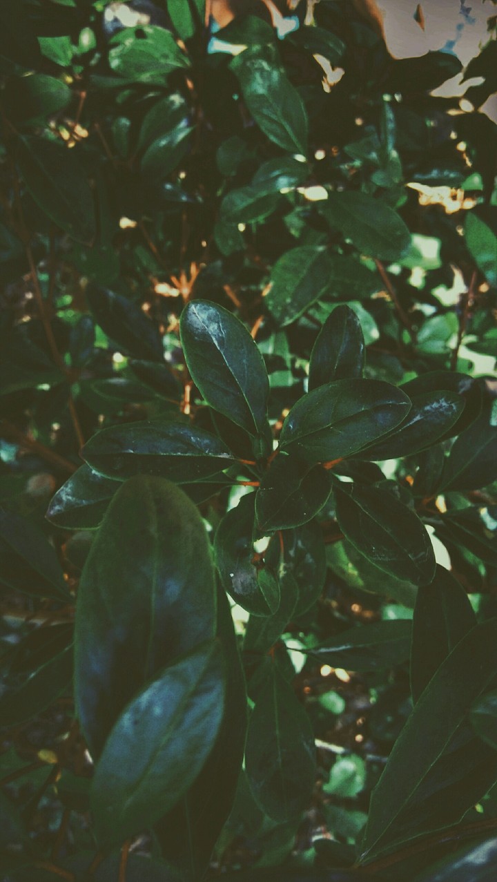 love photography ?❤