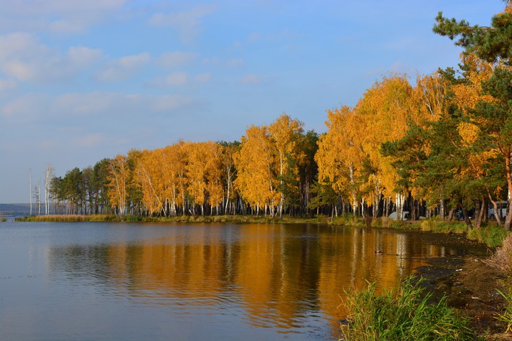 autumn