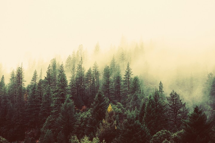 calm