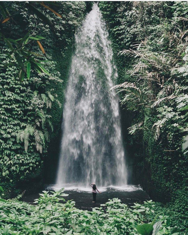 The waterfall earth