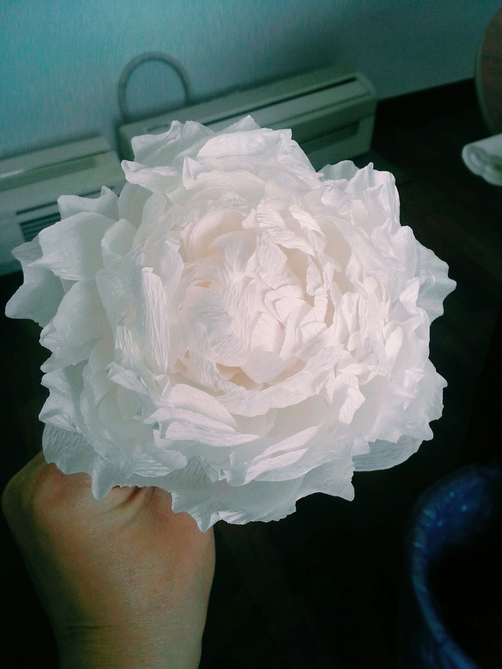 crepe paper