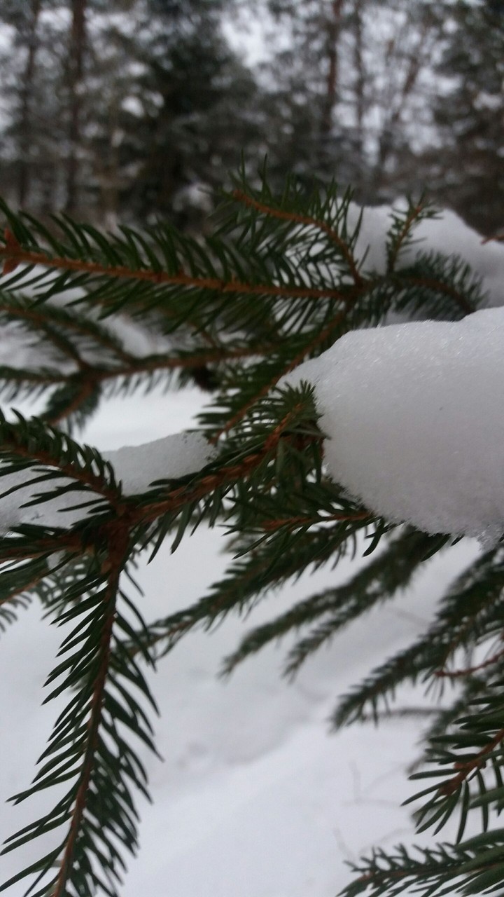 Poland Winter