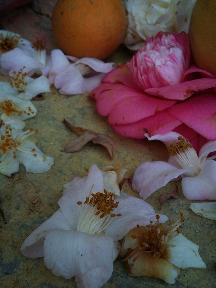 Flower mix