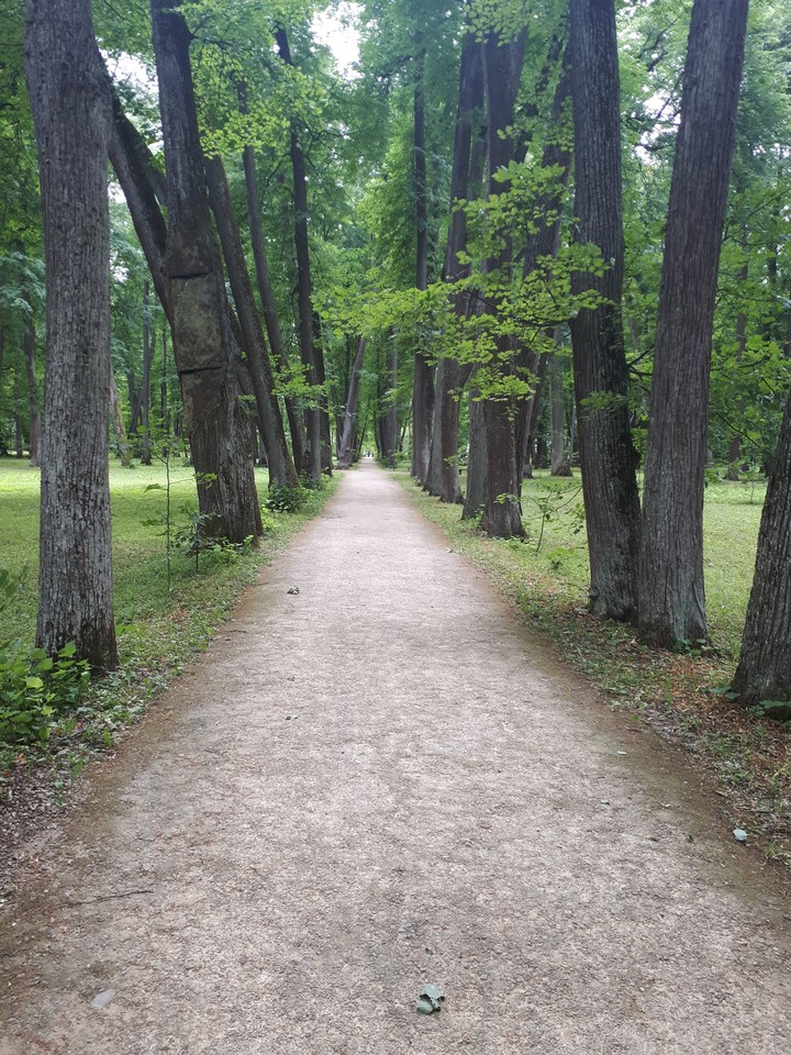 дорога
