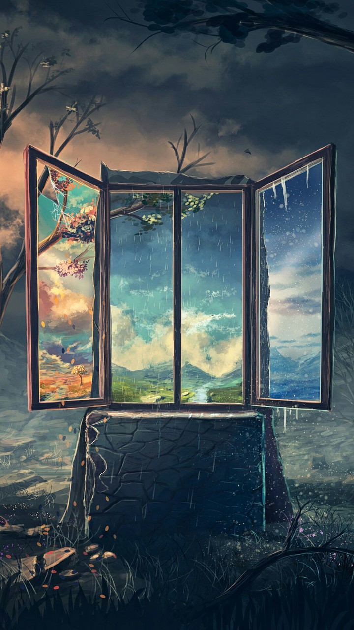 Window