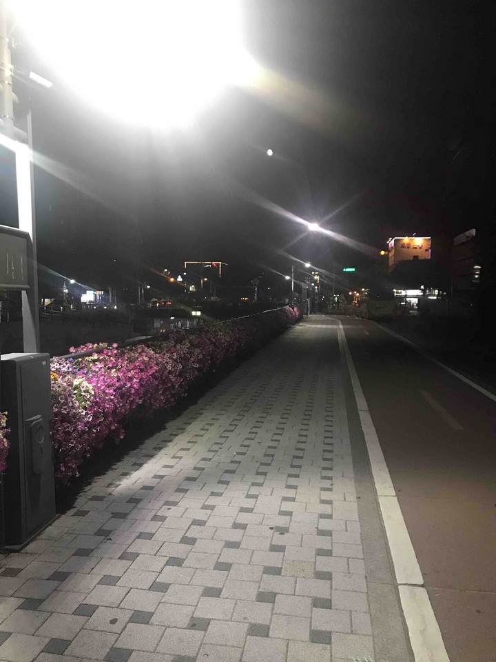 밤 개천