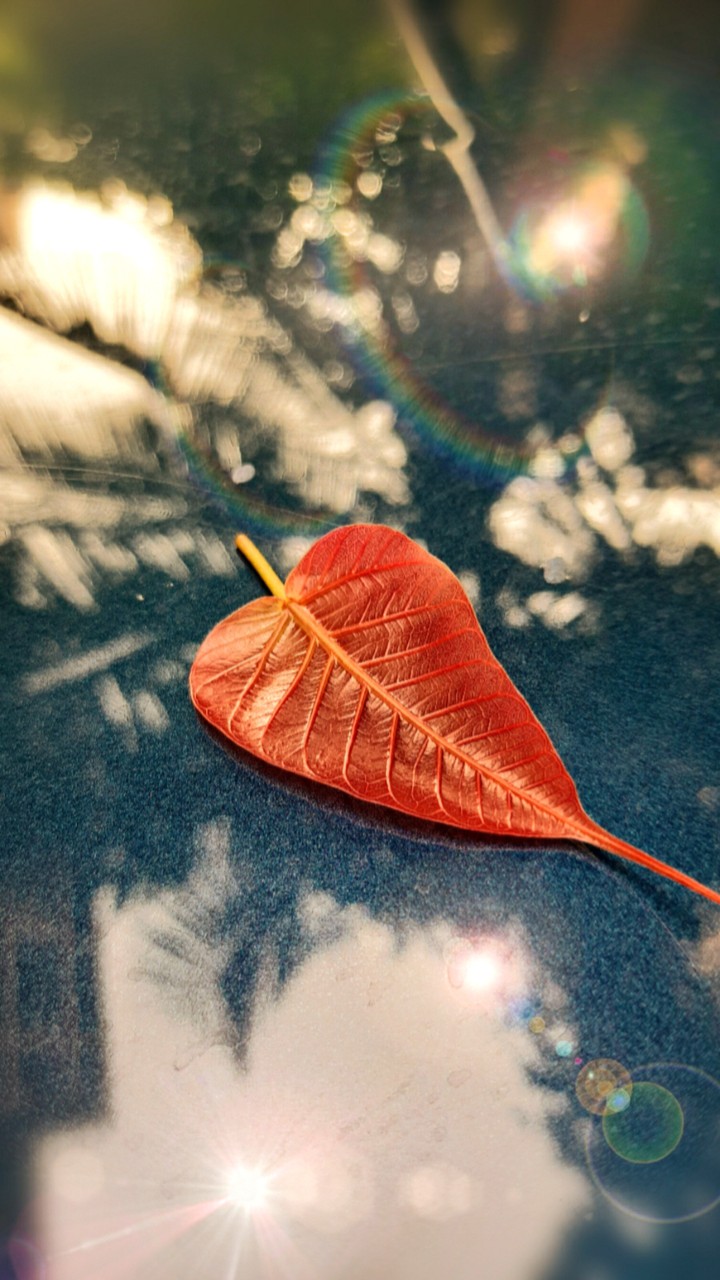 autumn