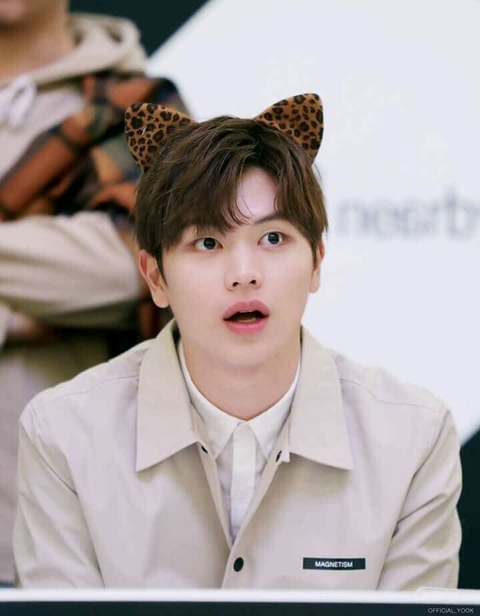 BTOB YOOK SUNGJAE