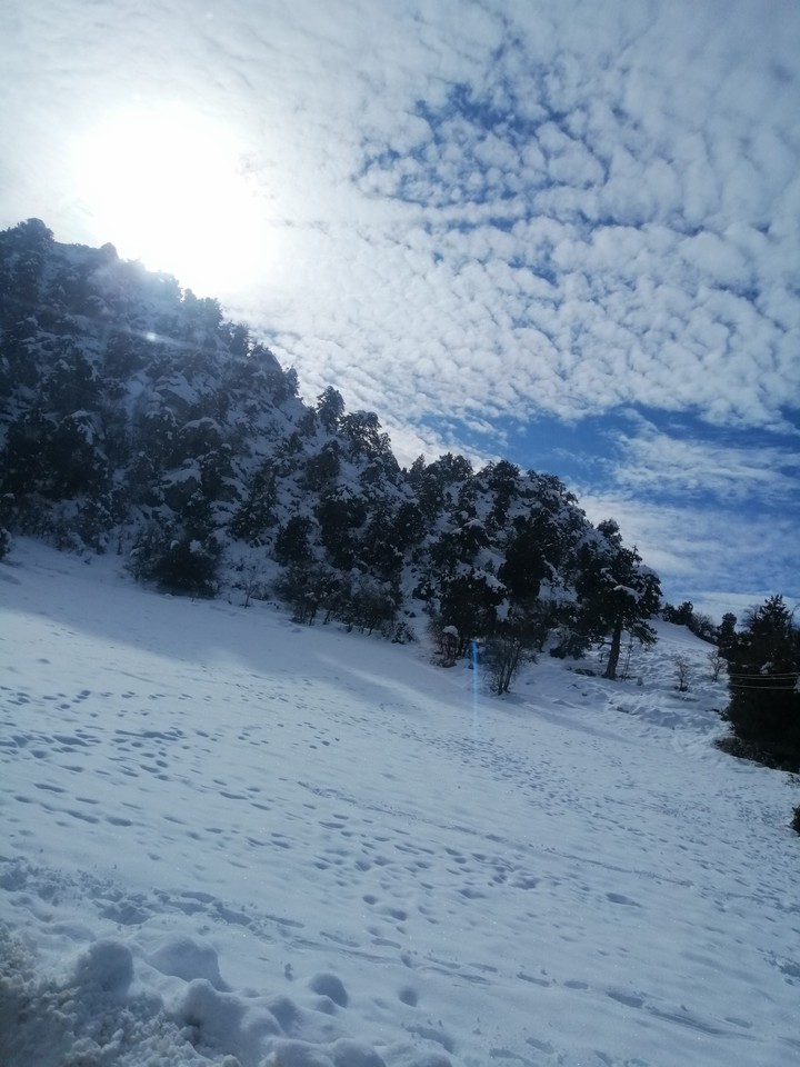 #Mountain