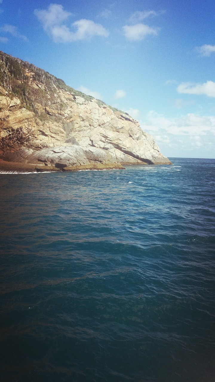 RJ lindo