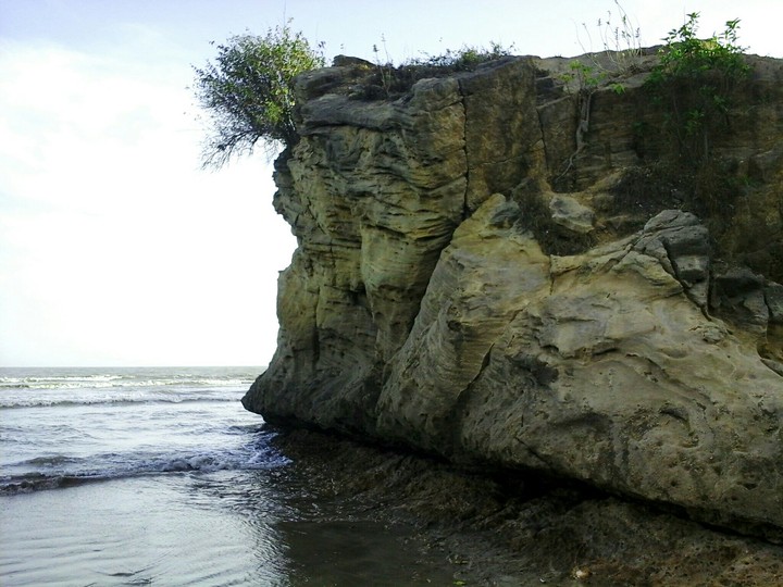 rock at coast