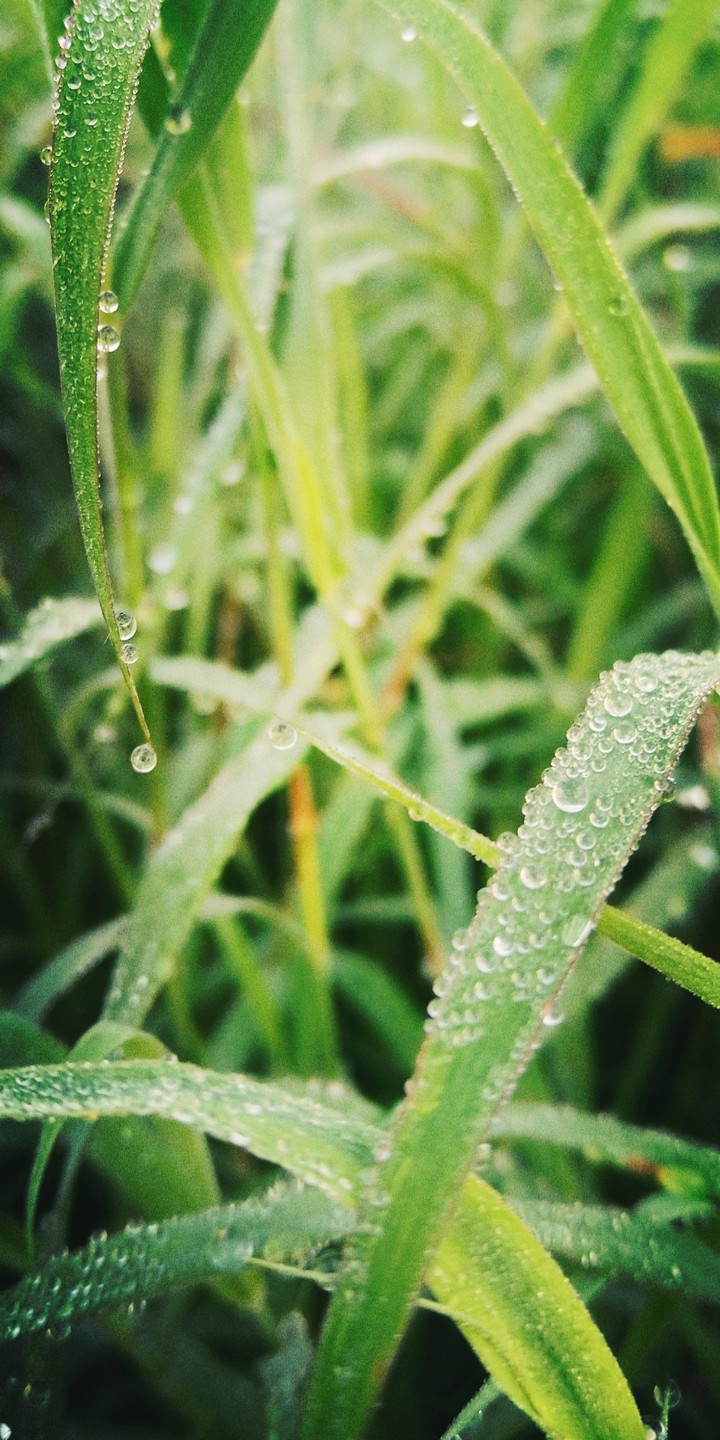 heyy guys....pic by me...?