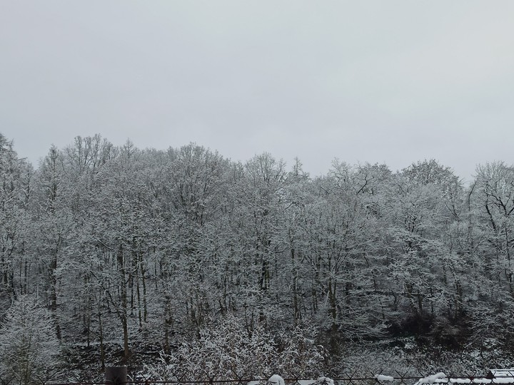 Winter