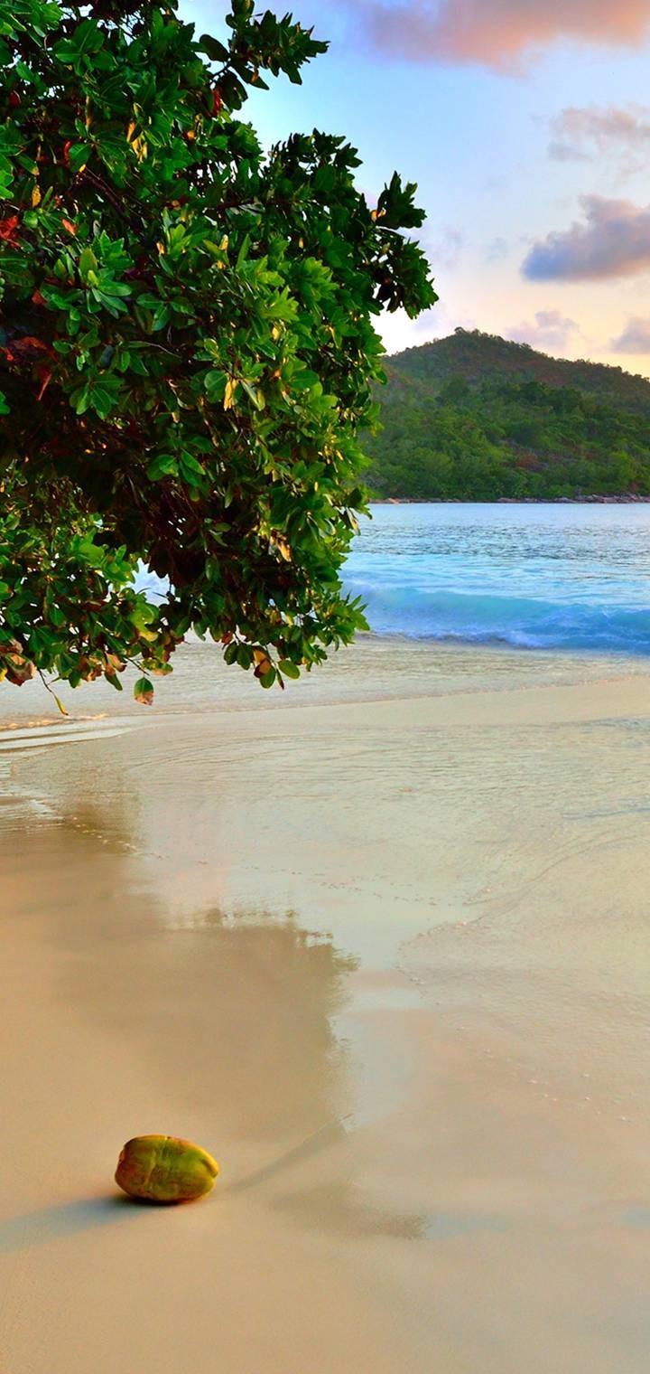 sea nature combination