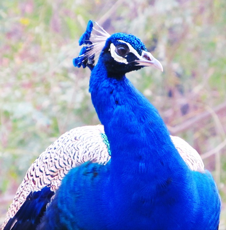 Beautiful nature