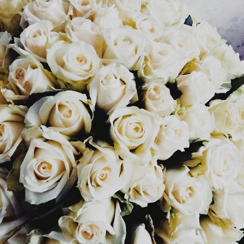 Roses