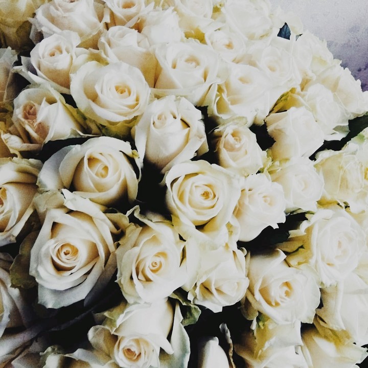 Roses