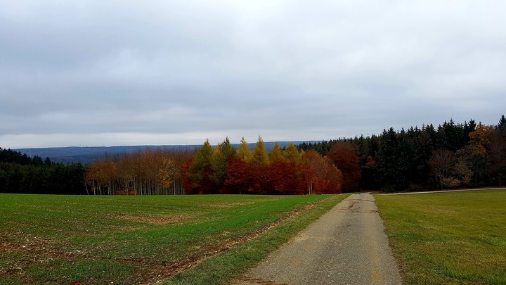 Herbstlich