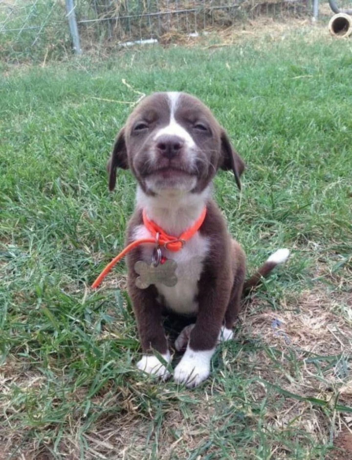 Happy to see all my friends again, I am smiling!