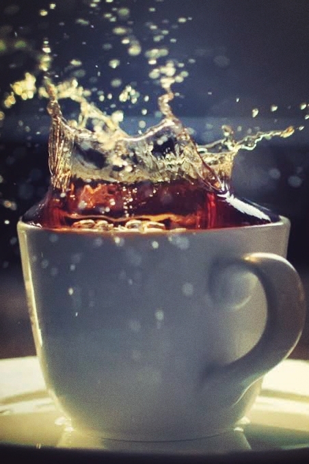 tea lover