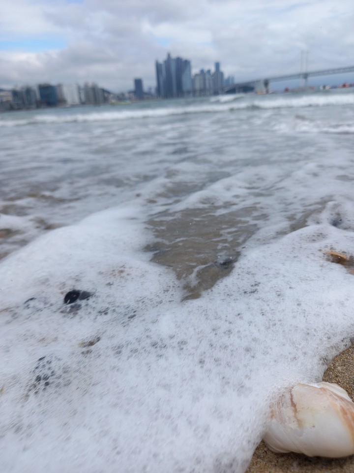 밀려온 파도거품