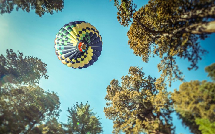 Ballon Ride Over Forest