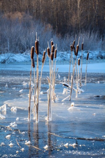 winter scenery