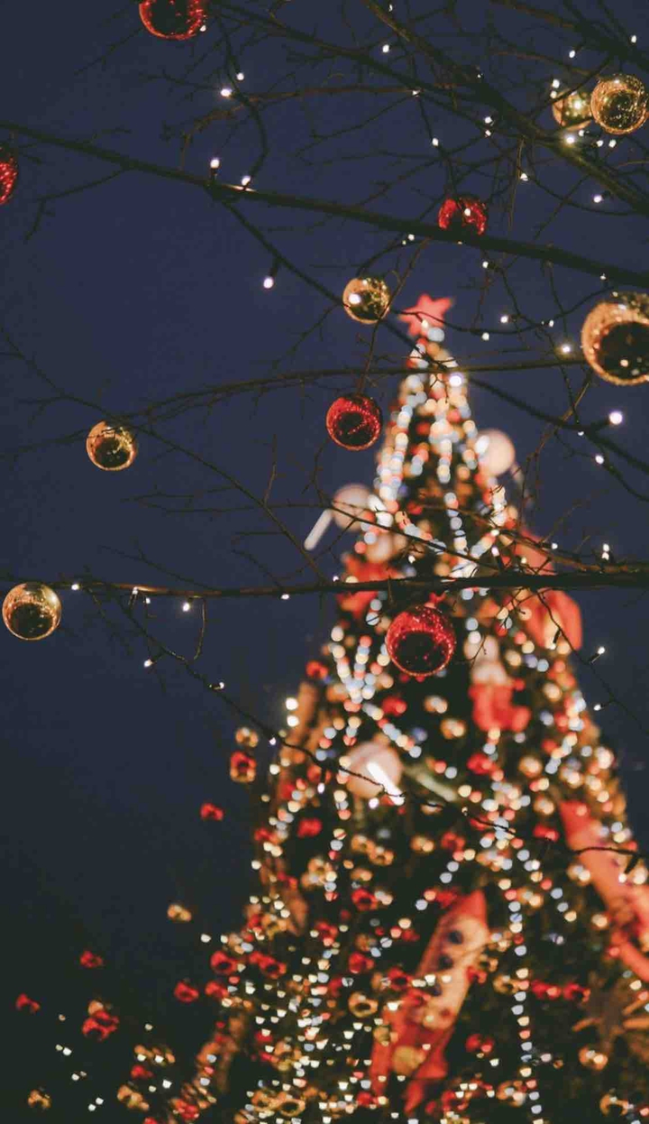 Christmas three