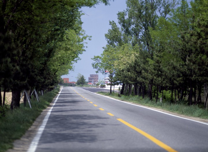 Nature and Road
