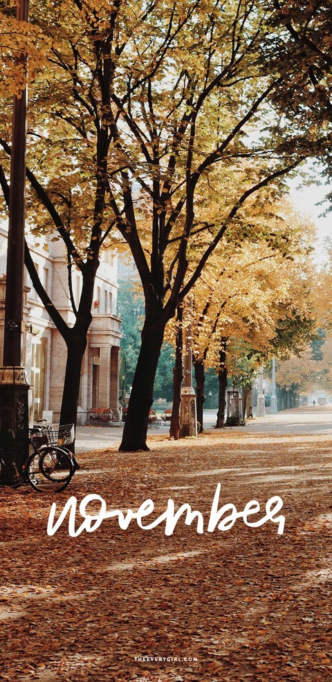 enchanting, bycycle wallpapers