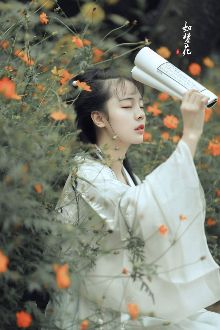 • Thiếu nữ đọc sách •