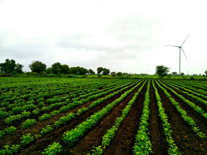 farm