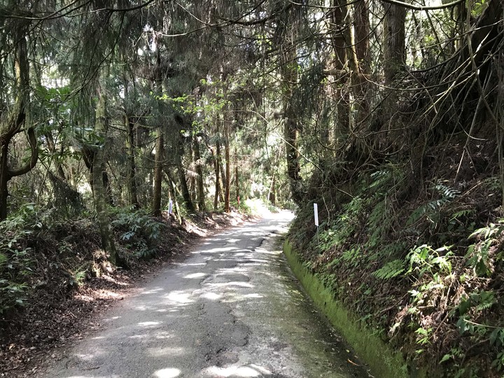 trail