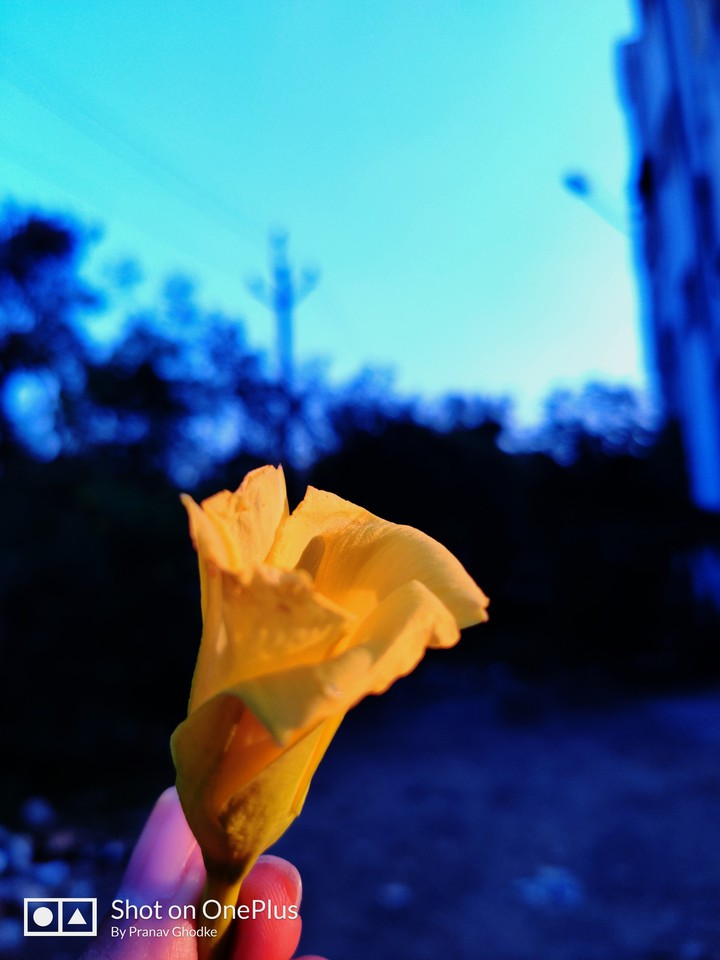 Nature