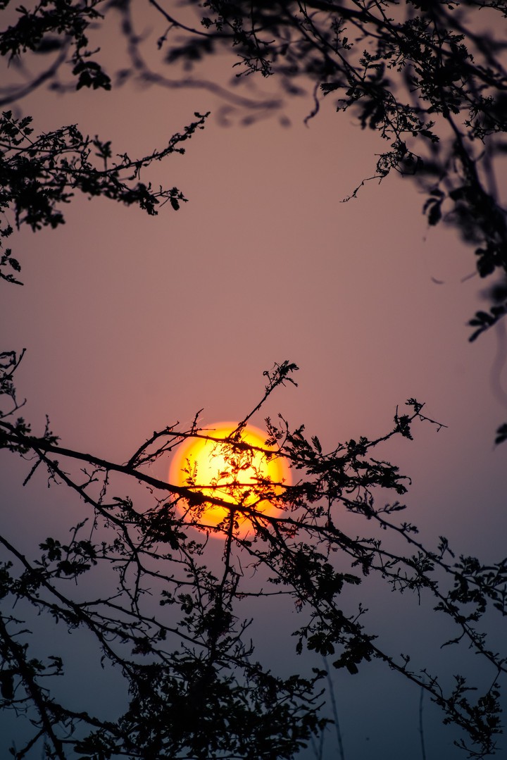 sunset