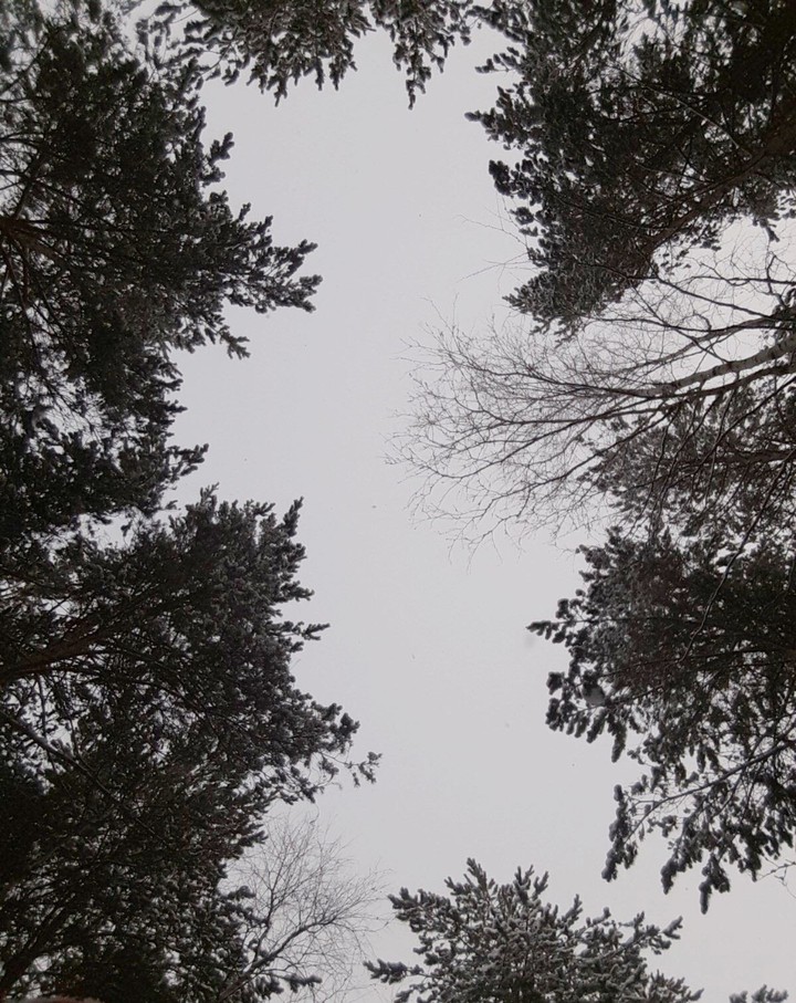 above us