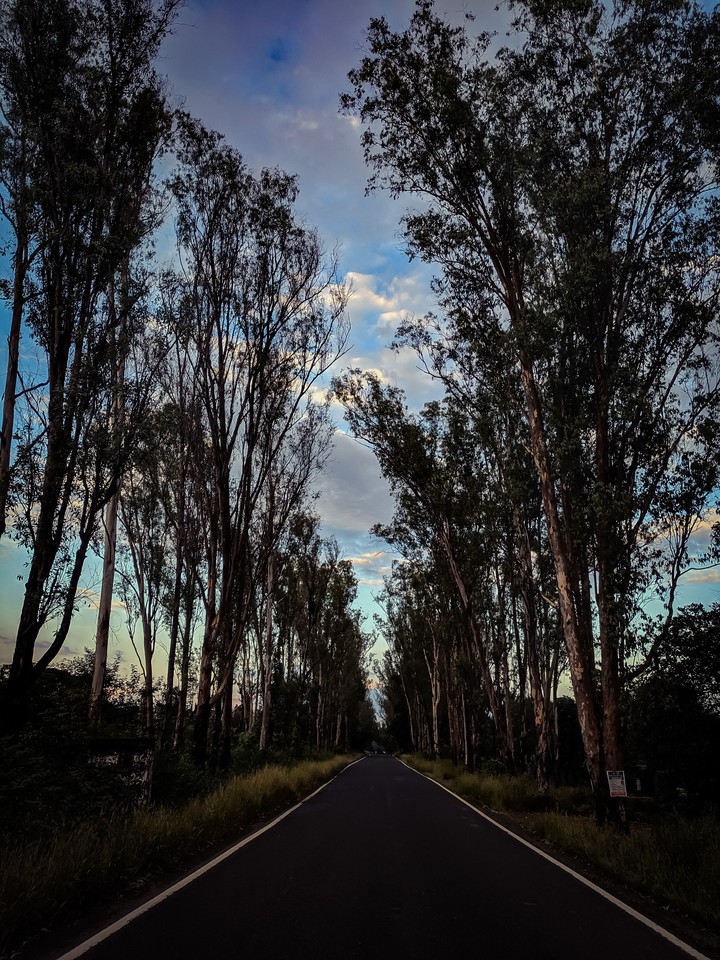 Endless road