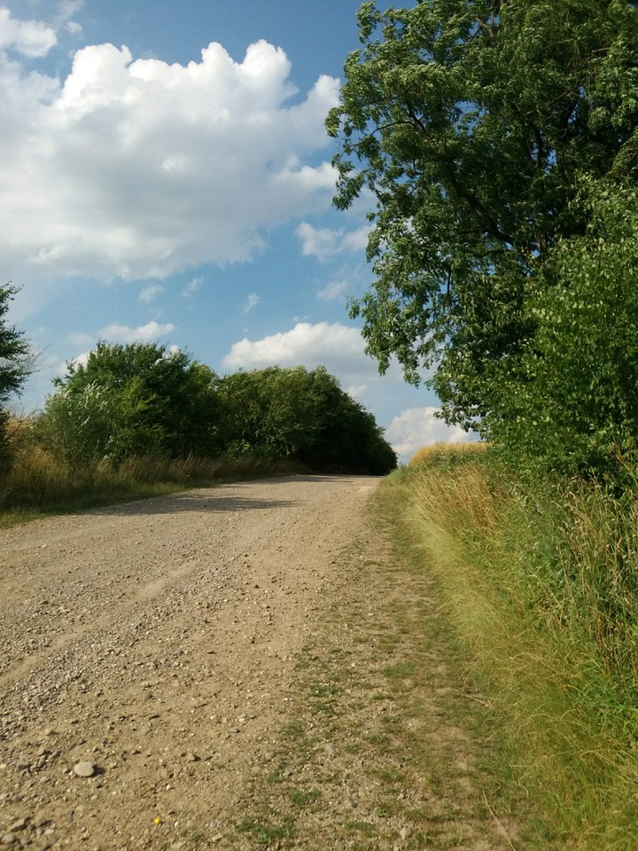 літо