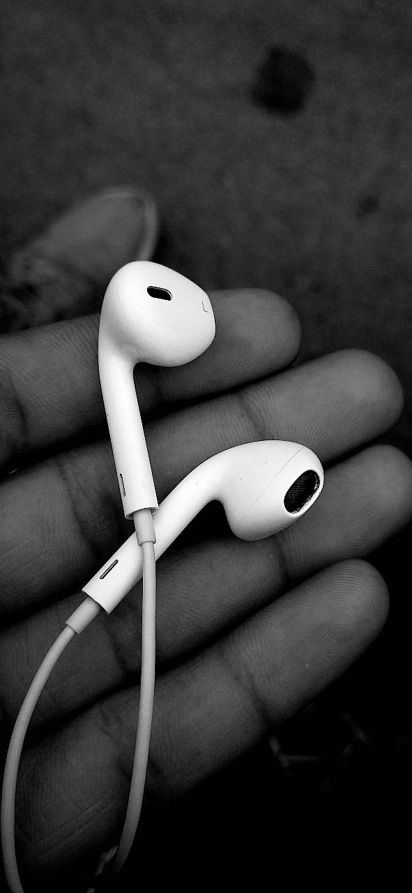 Earphones