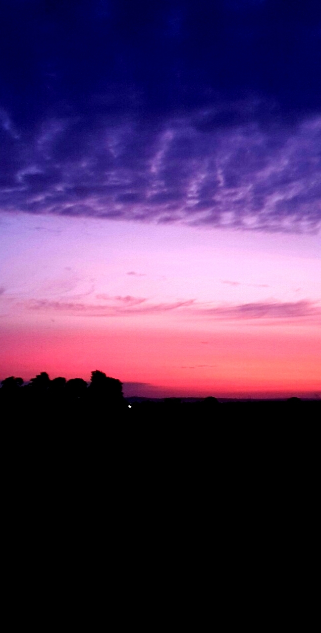 Morning Sky