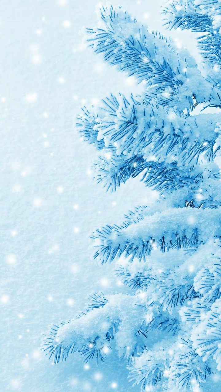 snow