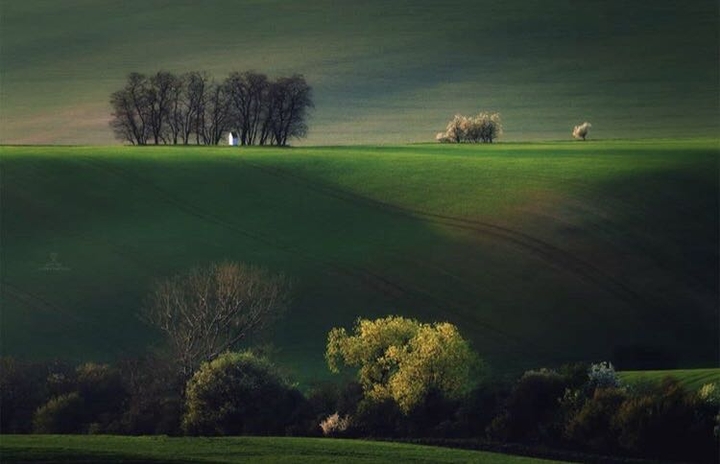 grassland