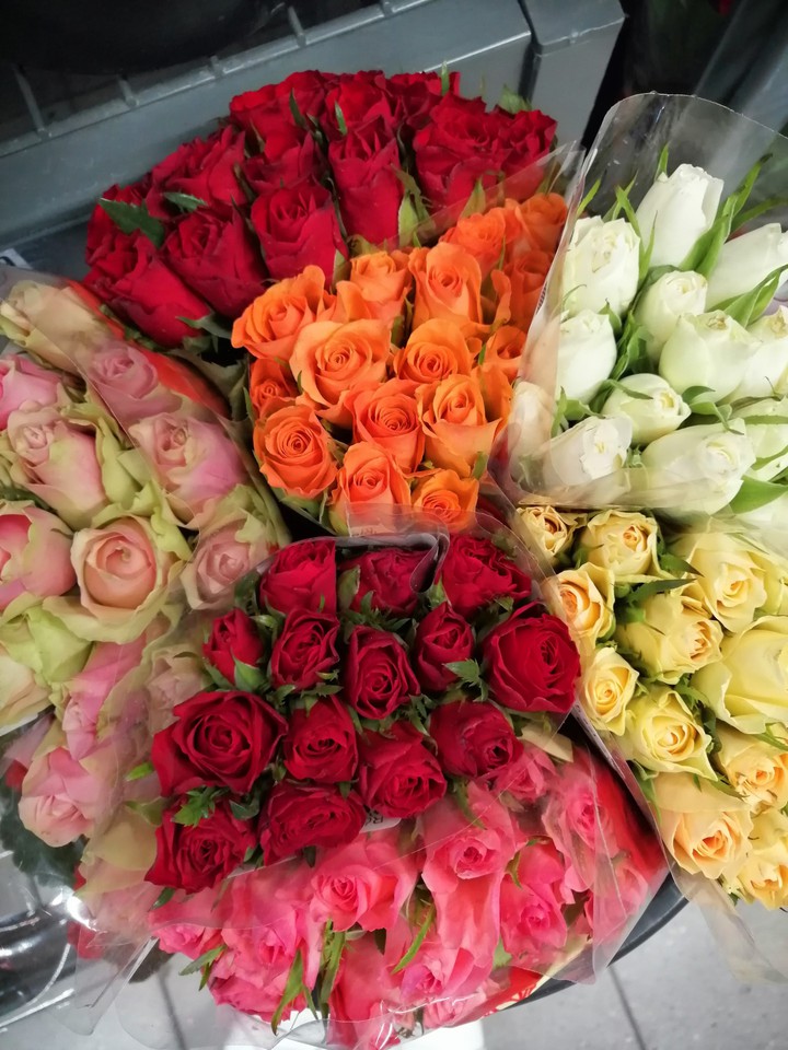 roses
