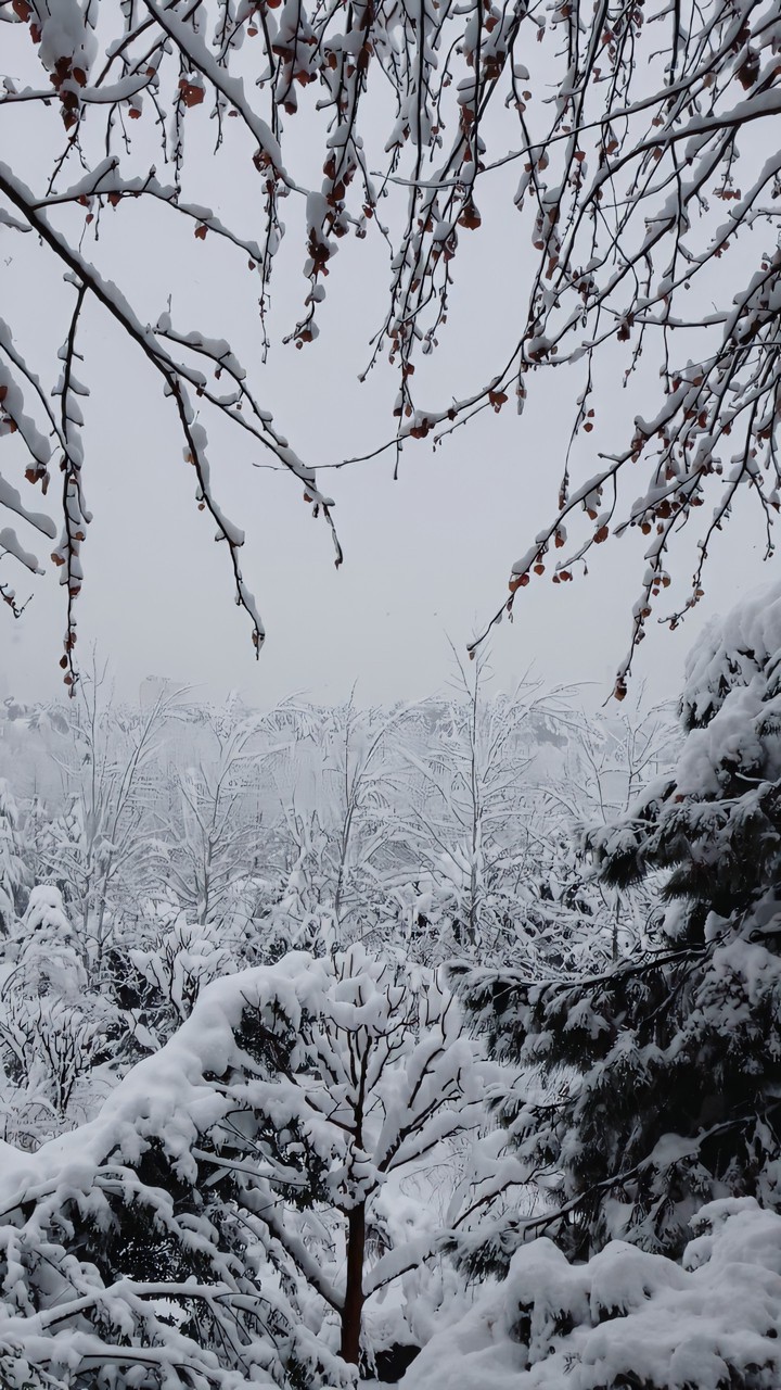 winter's coming