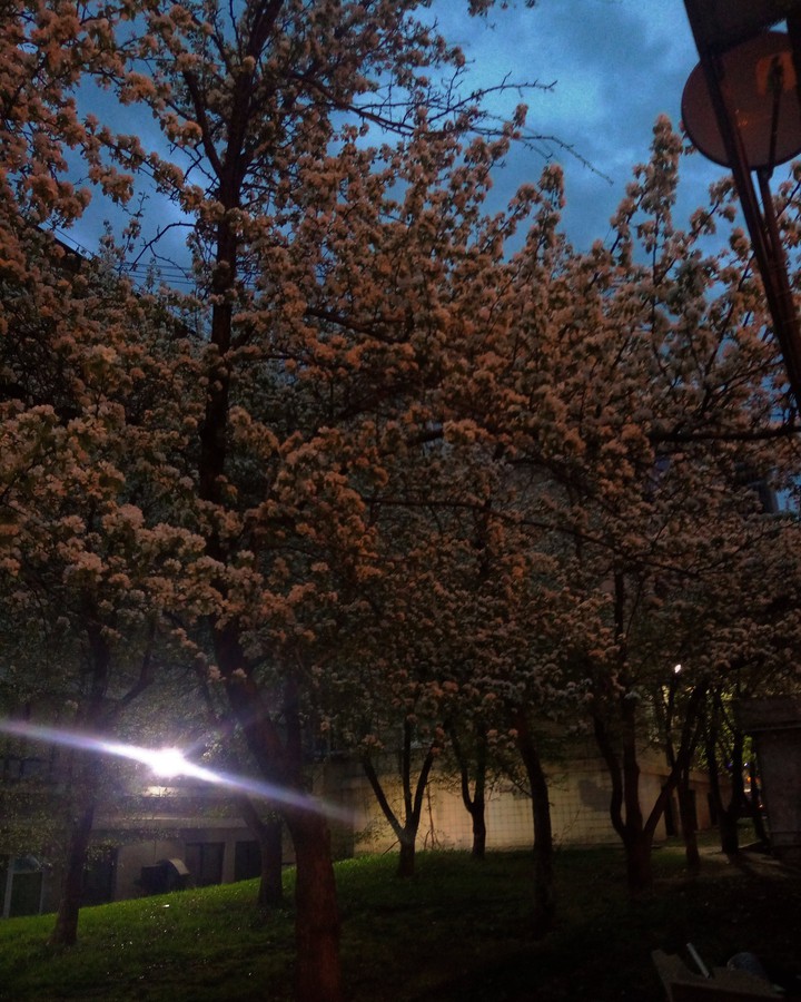город