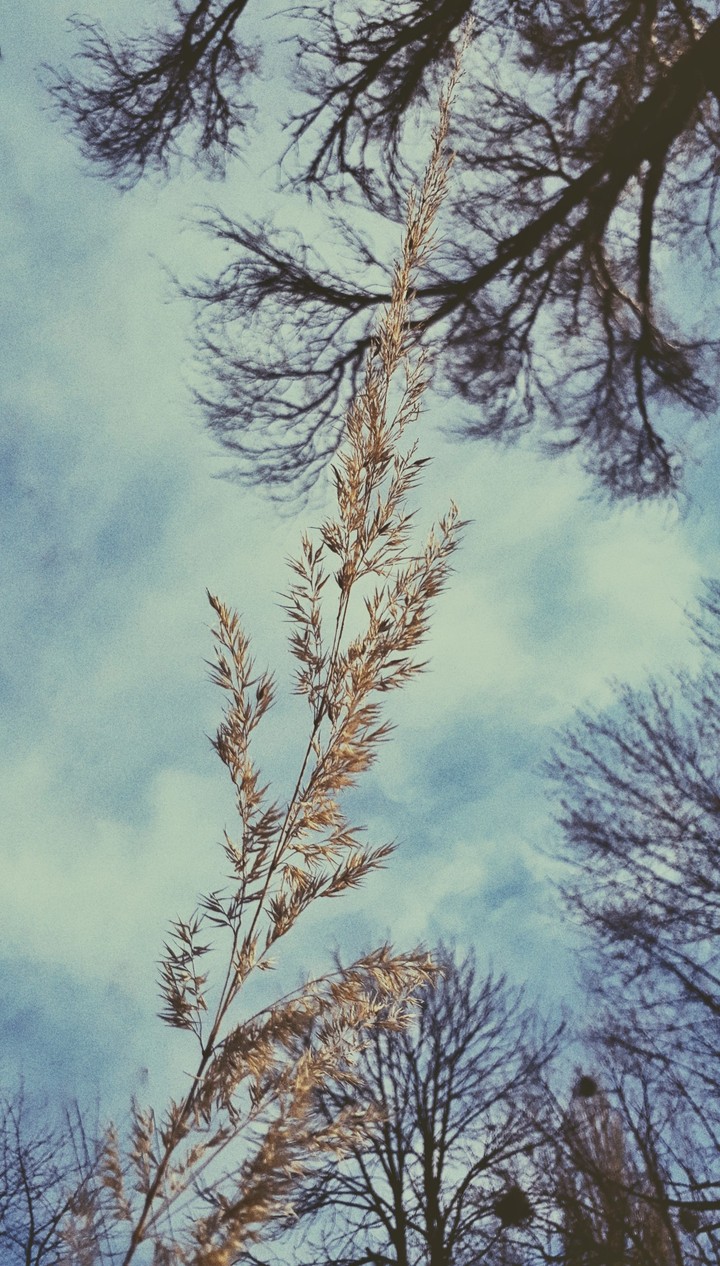Nature♡