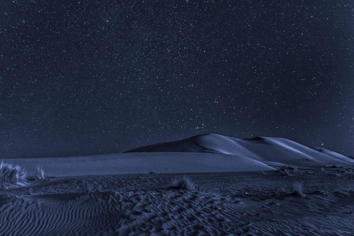 desert by night